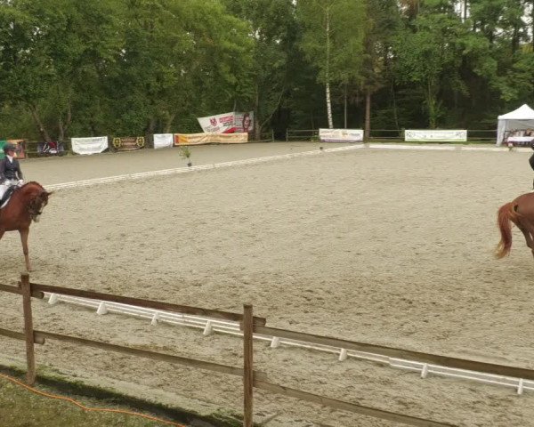 Reitturnier Ditzingen 2022