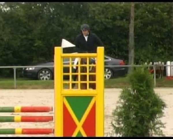 jumper Lady Sunshine 62 (Westphalian, 2007, from Louis le Bon)