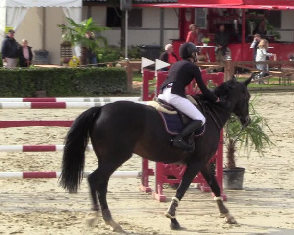 Equus Colonius - Reitanlage Brüse 2022