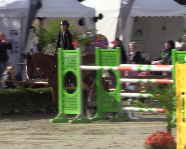 Equus Colonius - Reitanlage Brüse 2022