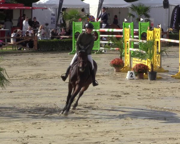 Equus Colonius - Reitanlage Brüse 2022