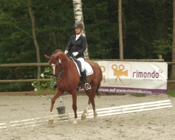 Reitturnier Ditzingen 2022