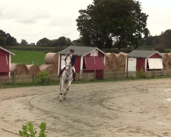 Reitturnier Schülp / Rendsburg 2021