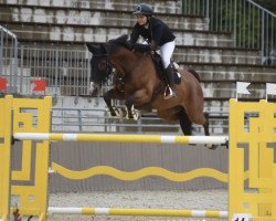 jumper RAHMANNSHOF FERNET (Oldenburg show jumper, 2011, from Favorit Ask)
