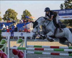 jumper KASIE (KWPN (Royal Dutch Sporthorse), 2015, from Zambesi TN)