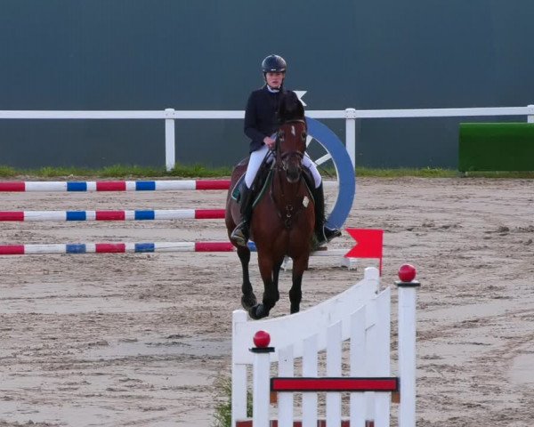 Reitturnier Bad Schmiedeberg 2022