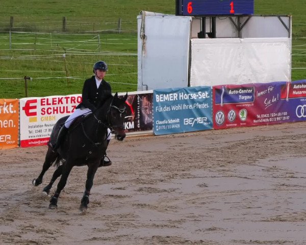 Reitturnier Bad Schmiedeberg 2022