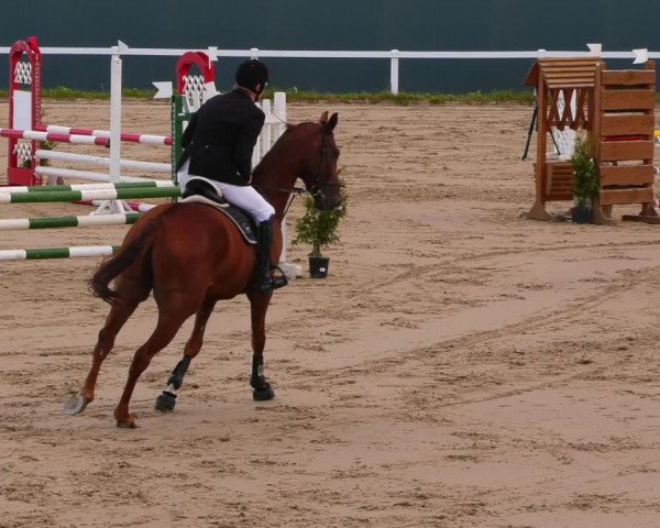 Reitturnier Bad Schmiedeberg 2022