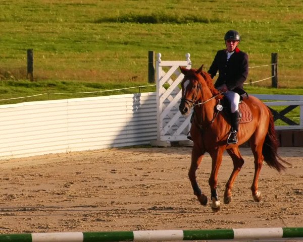 Reitturnier Bad Schmiedeberg 2022