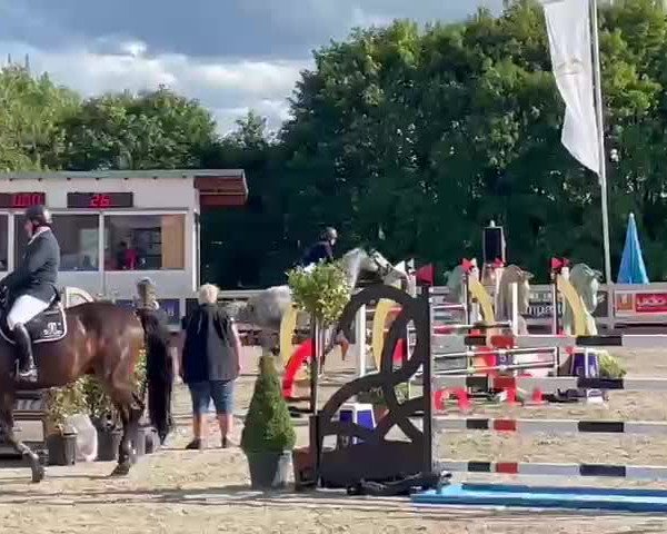 Reitturnier Winterlingen 2022