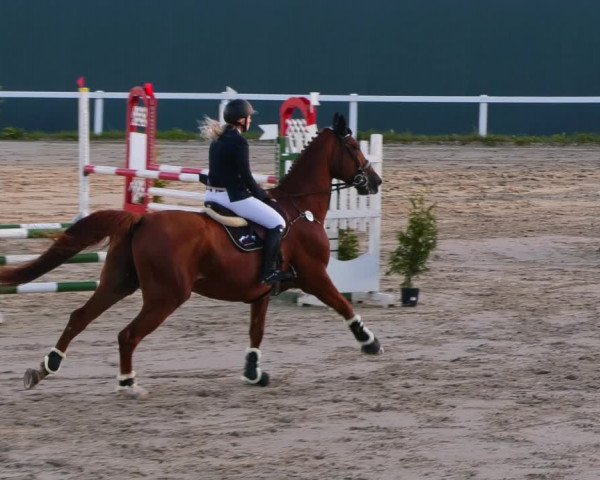 Reitturnier Bad Schmiedeberg 2022