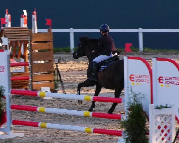 Reitturnier Bad Schmiedeberg 2022