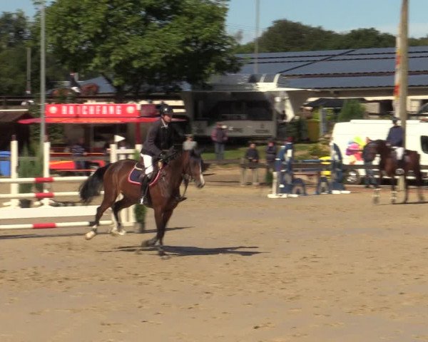 Reitturnier Buchenhof-Ibbenbüren 2022