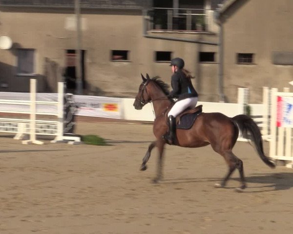 Reitturnier Buchenhof-Ibbenbüren 2022