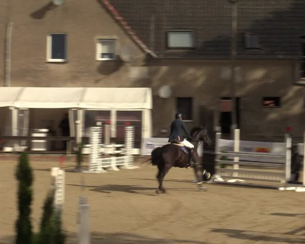 Reitturnier Buchenhof-Ibbenbüren 2022