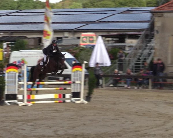 Reitturnier Buchenhof-Ibbenbüren 2022