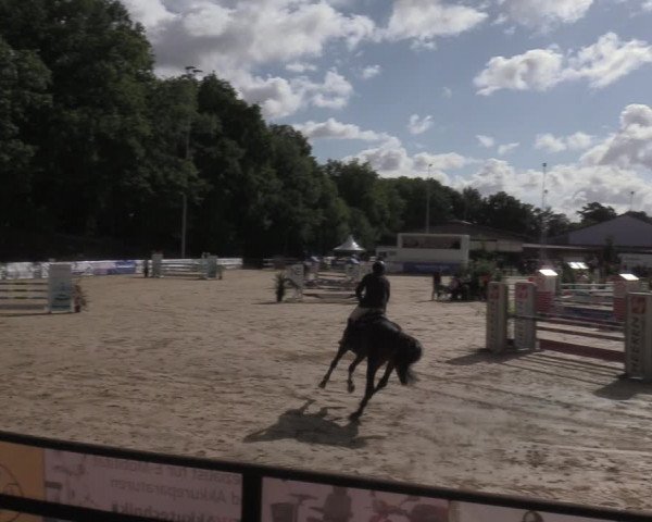 Reitturnier Albersloh 2022