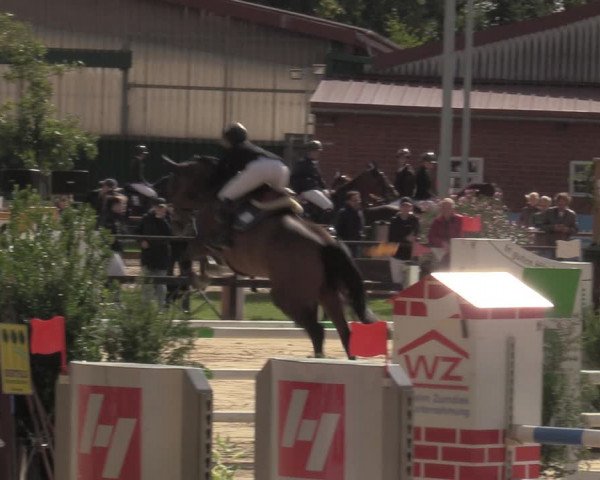 Reitturnier Albersloh 2022