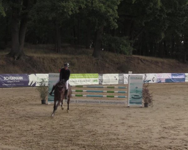 Reitturnier Albersloh 2022