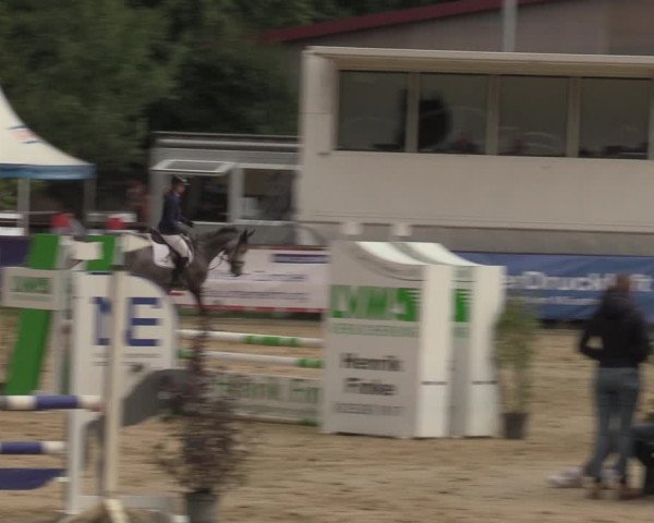 Reitturnier Albersloh 2022