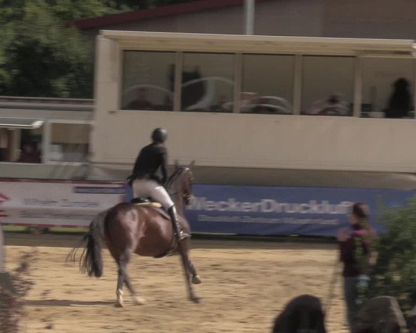 Reitturnier Albersloh 2022