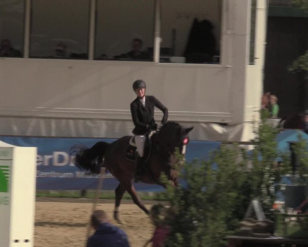 Reitturnier Albersloh 2022