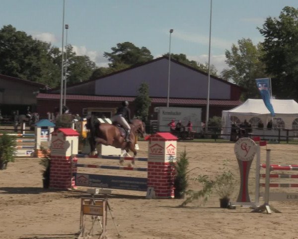Reitturnier Albersloh 2022