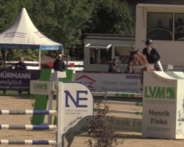 Reitturnier Albersloh 2022