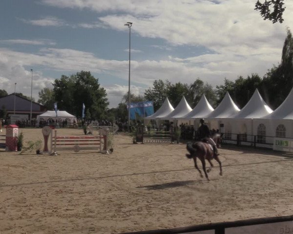 Reitturnier Albersloh 2022