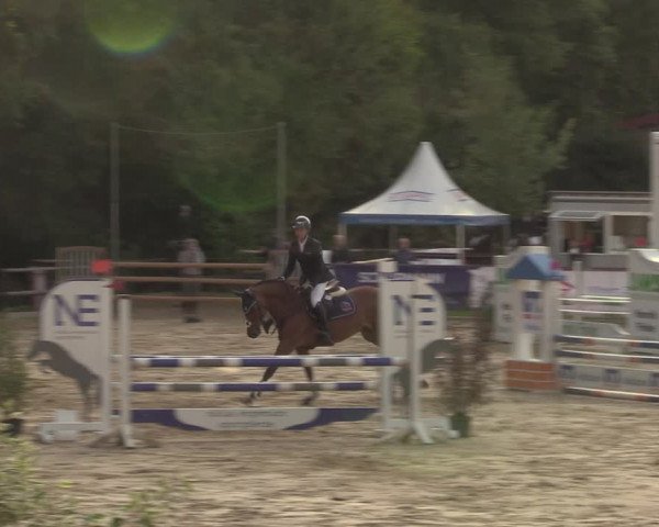 Reitturnier Albersloh 2022