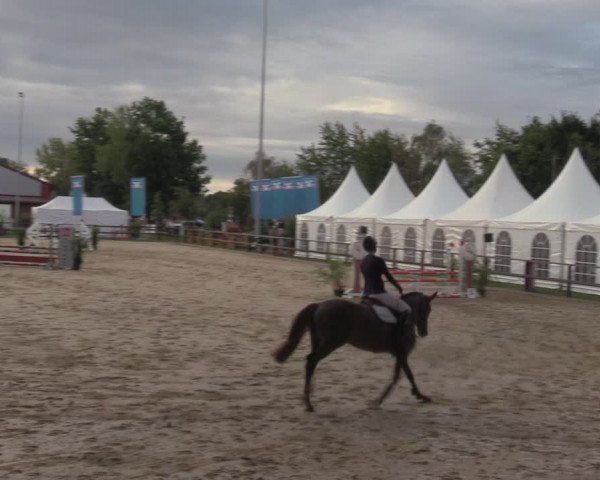 Reitturnier Albersloh 2022