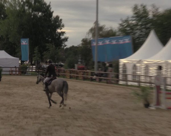 Reitturnier Albersloh 2022