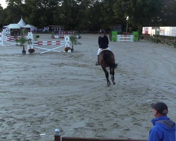 Equus Colonius - Reitanlage Brüse 2022