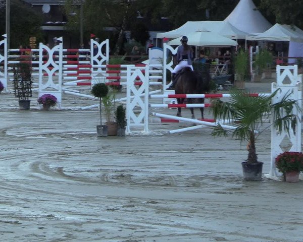 Equus Colonius - Reitanlage Brüse 2022