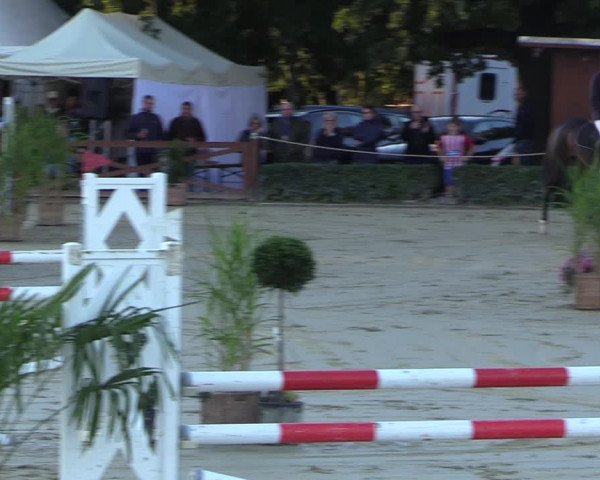 Equus Colonius - Reitanlage Brüse 2022