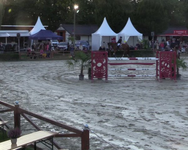 Equus Colonius - Reitanlage Brüse 2022