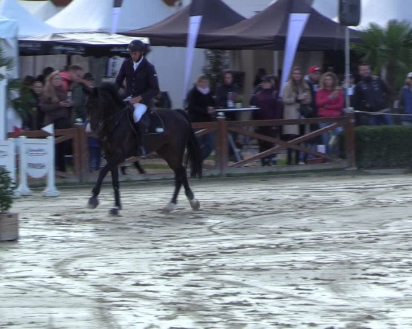 Equus Colonius - Reitanlage Brüse 2022