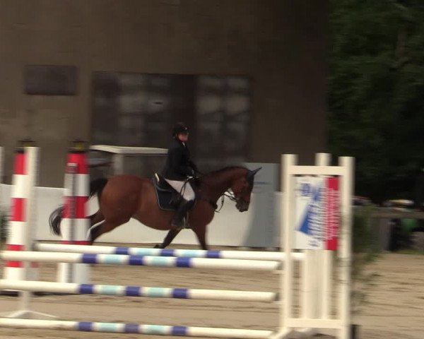 Reitturnier Buchenhof-Ibbenbüren 2022