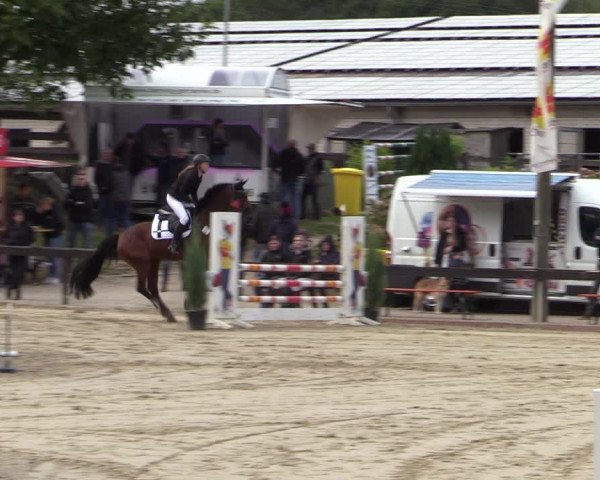 Reitturnier Buchenhof-Ibbenbüren 2022