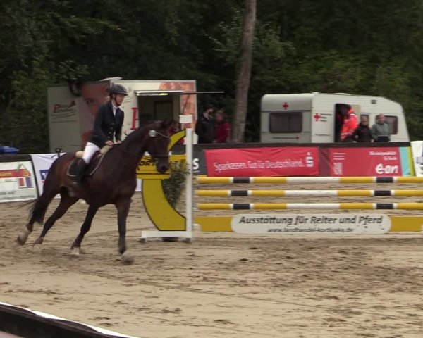 Reitturnier Buchenhof-Ibbenbüren 2022