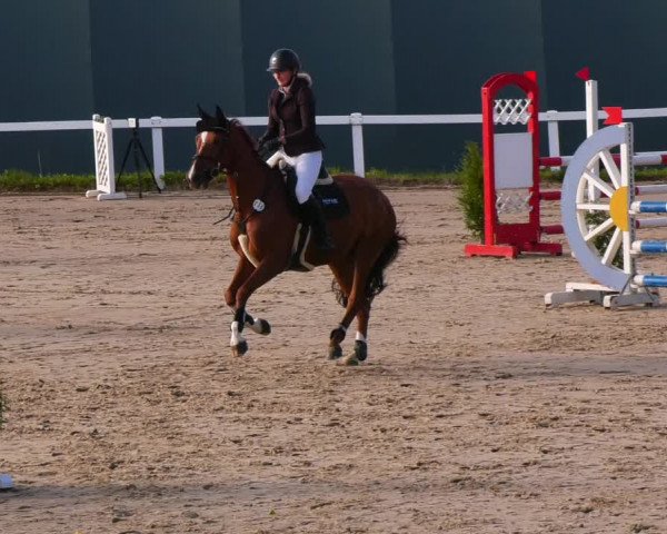 Reitturnier Bad Schmiedeberg 2022