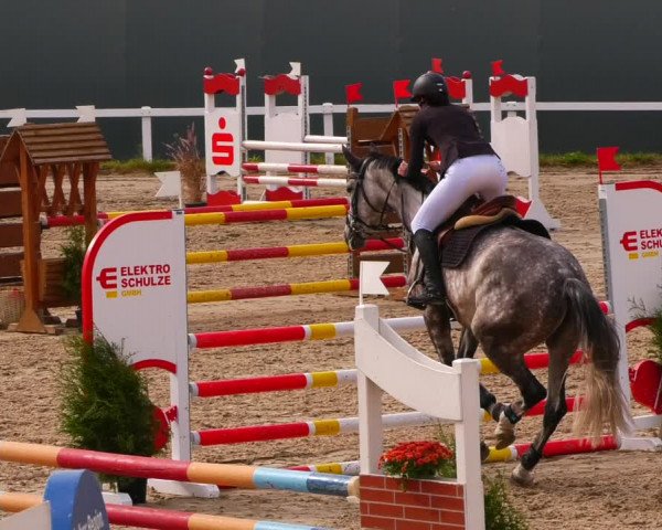 Reitturnier Bad Schmiedeberg 2022