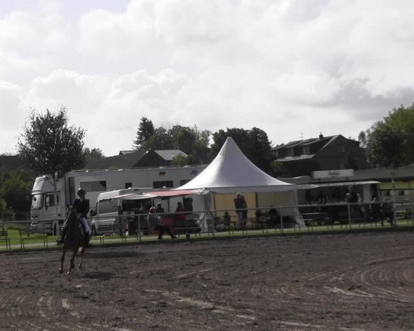 Reitturnier Lentzke - Reitanlage Krehl 2022