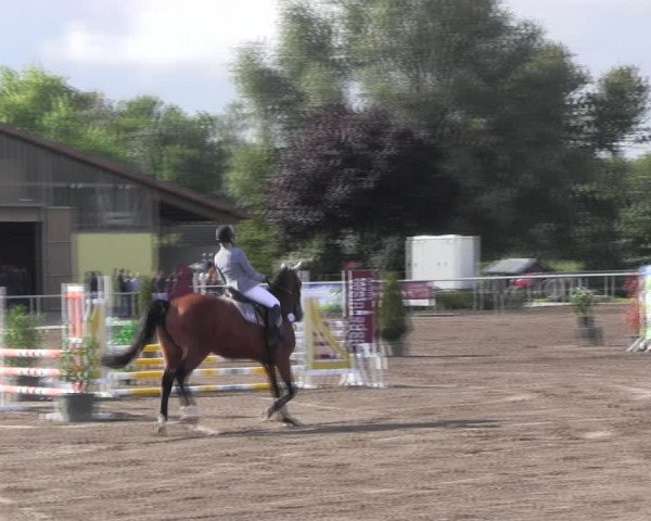 Reitturnier Lentzke - Reitanlage Krehl 2022