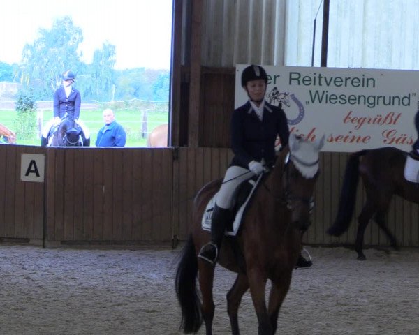 Reitturnier Bad Schmiedeberg 2022