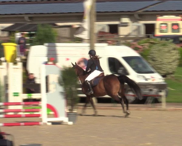 Reitturnier Buchenhof-Ibbenbüren 2022