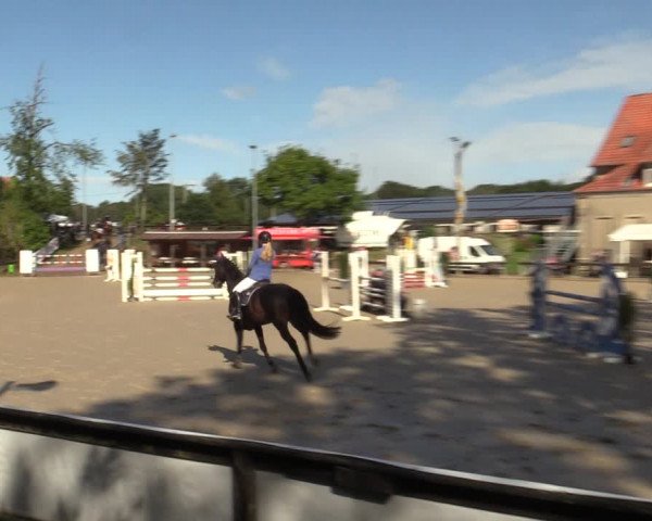Reitturnier Buchenhof-Ibbenbüren 2022