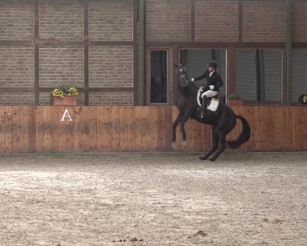 Reitturnier Würselen - Reitanlage Rueben 2022