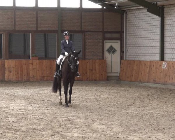 Reitturnier Würselen - Reitanlage Rueben 2022