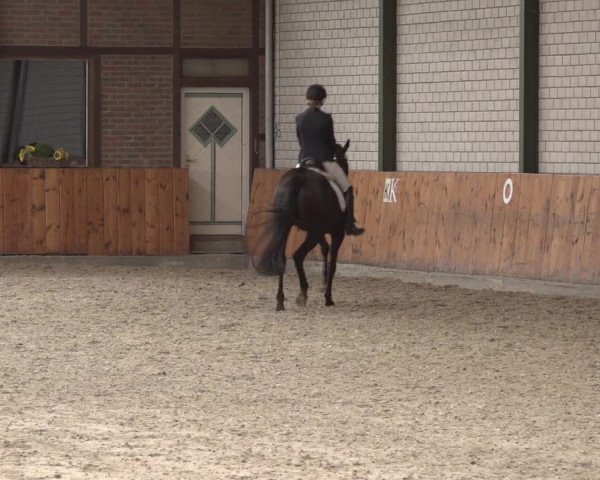 Reitturnier Würselen - Reitanlage Rueben 2022